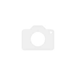 Goodyear ULTRAGRIP PERFORMANCE GEN-1 255/55 R19 111V XL SUV (17386552)
