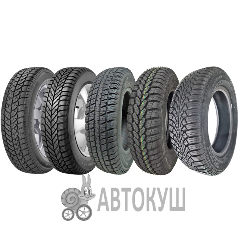 Diplomat Winter ST 195/60 R15 88T (273533)