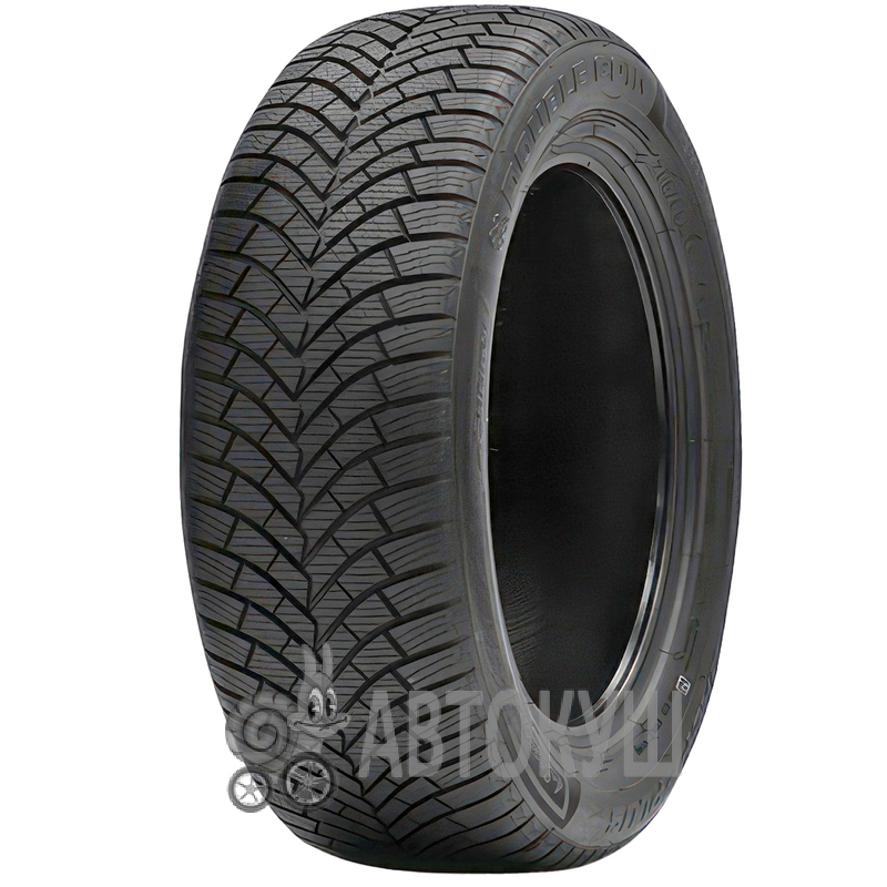 Double Coin Dasp-plus 205/60 R16 96H XL (449675)
