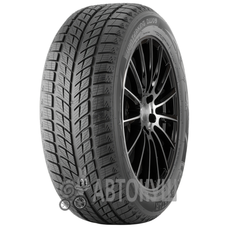 Doublestar WINTERKING DW09 275/40 R20 106V XL (350496)