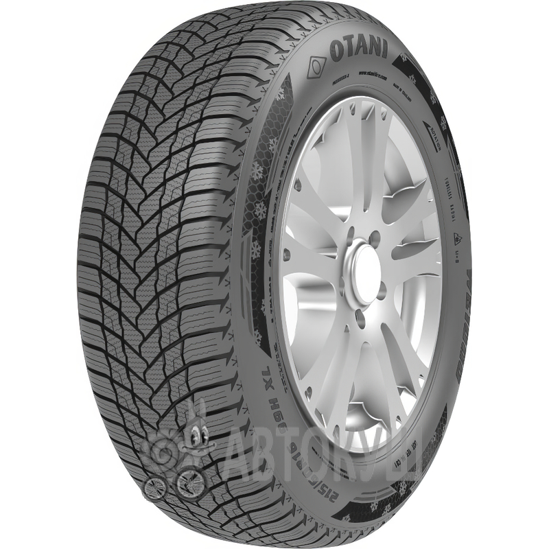 Otani WE1000 185/65 R14 86T (506767)