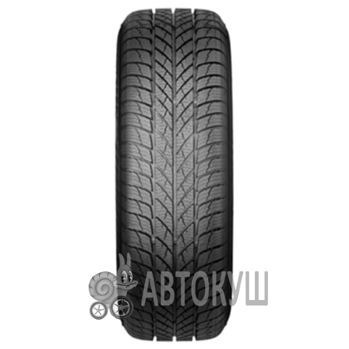 Paxaro INVERNO 215/50 R17 95V XL FR (347300)