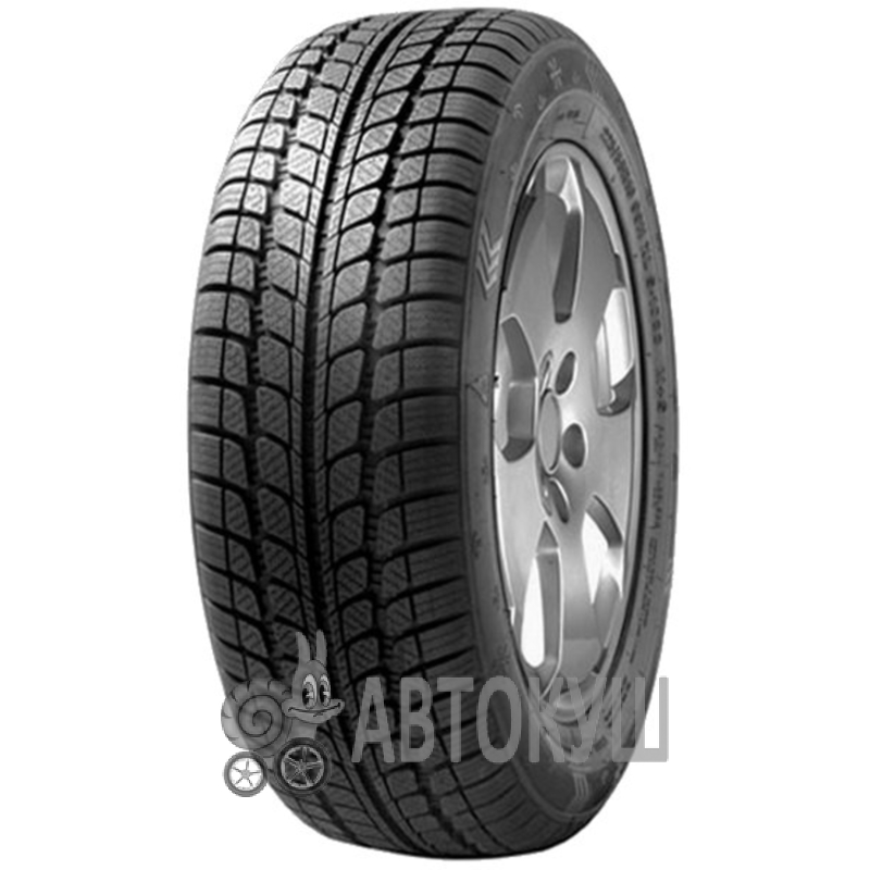 Sunny SNOWMASTER SN3830 195/55 R15 85H (259412)